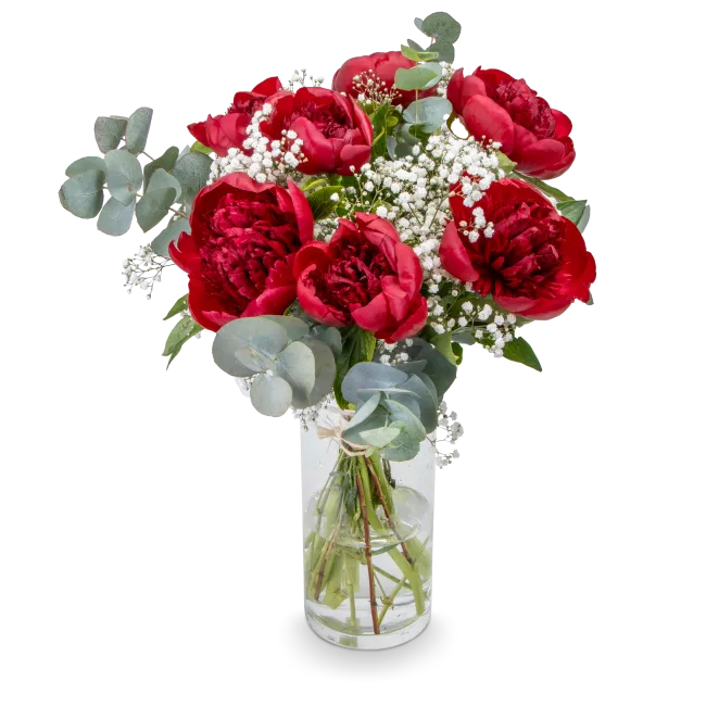 Bouquet of burgundy peonies